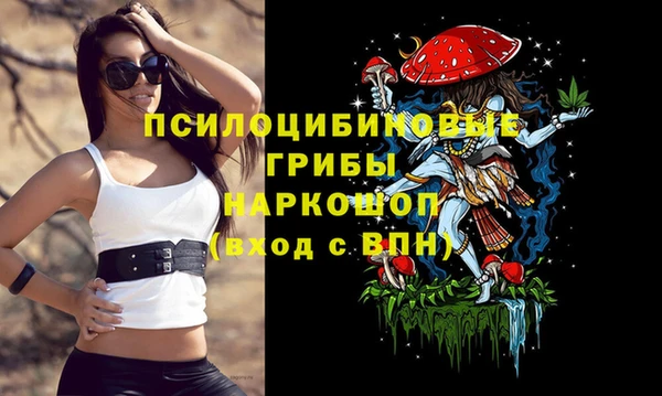 трава Аркадак