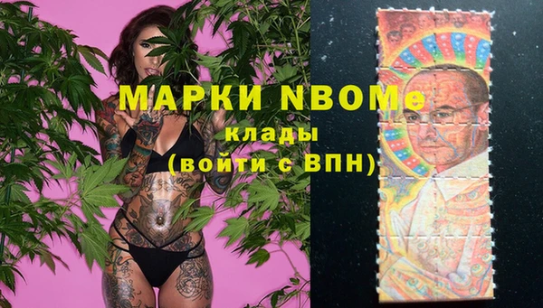 трава Аркадак