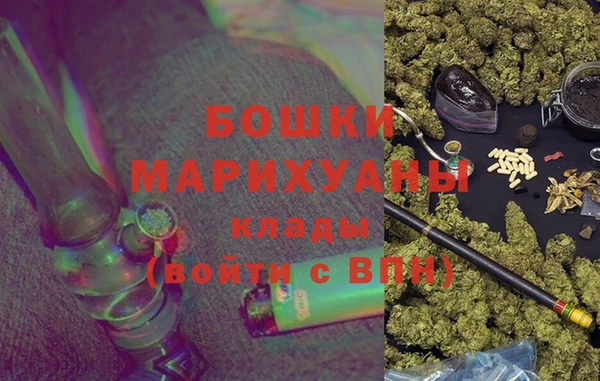 трава Аркадак
