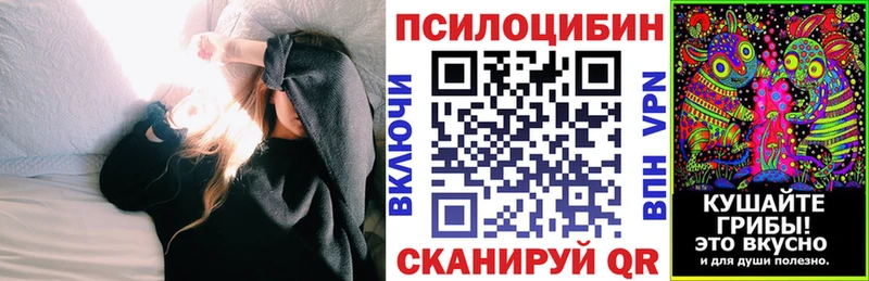 Псилоцибиновые грибы Magic Shrooms  это формула  Бологое  ОМГ ОМГ вход 